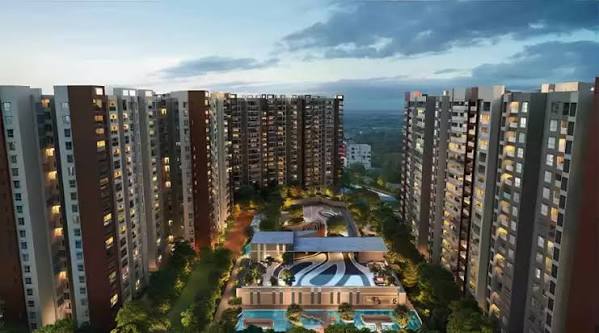Prestige Evergreen